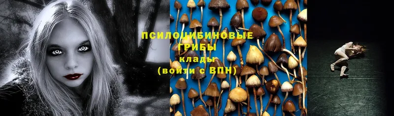 наркотики  Гусев  mega онион  Псилоцибиновые грибы Magic Shrooms 